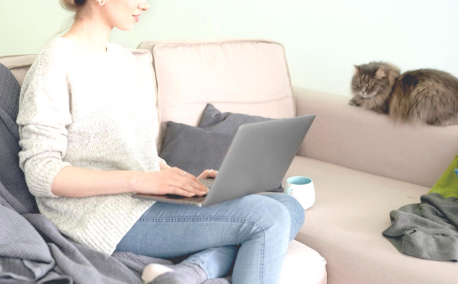 Команда Melonira работает над финансовыми проектами